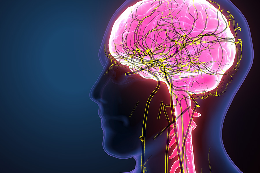 Side View of Human Head and Glowing Brain on Black Background