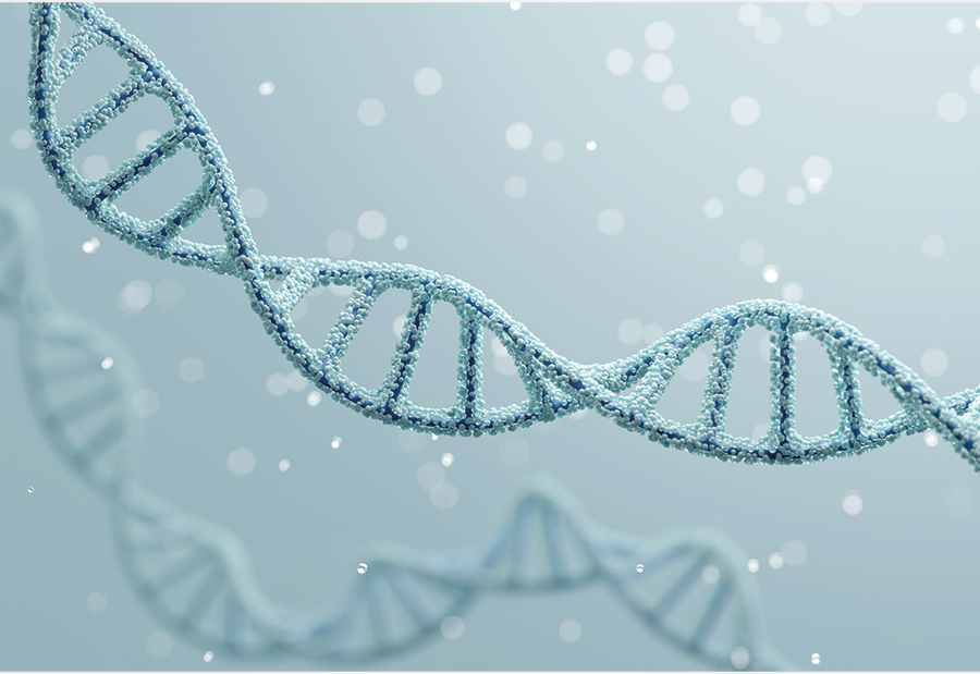 double helix illustration